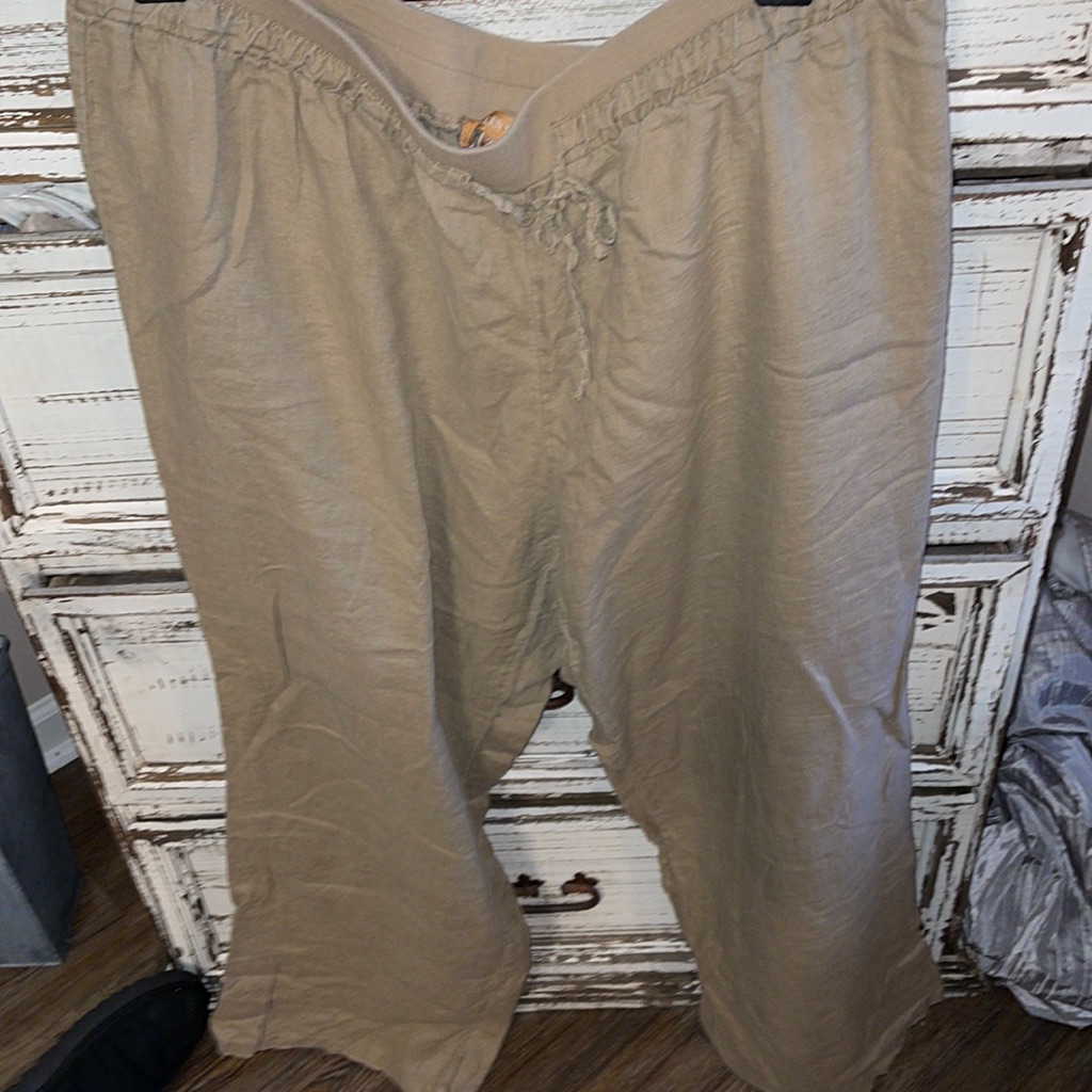 Nwot Ellen Tracy Linen Tan Pants Brand New Size 2x Nice
